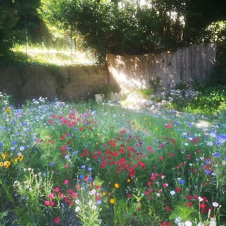 ヴィルヌーヴ・レ・ザヴィニョンBelle Dependance De 30M2 Avec Terrasse Et Jardinアパートメント エクステリア 写真