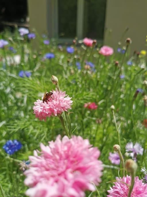 ヴィルヌーヴ・レ・ザヴィニョンBelle Dependance De 30M2 Avec Terrasse Et Jardinアパートメント エクステリア 写真