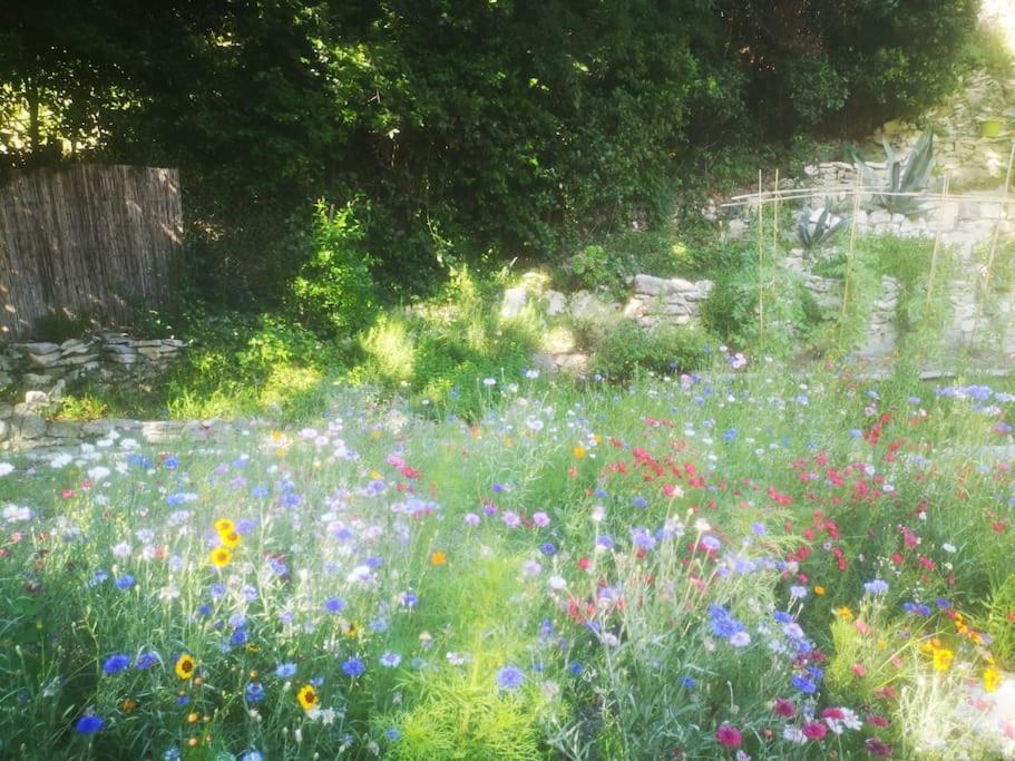 ヴィルヌーヴ・レ・ザヴィニョンBelle Dependance De 30M2 Avec Terrasse Et Jardinアパートメント エクステリア 写真