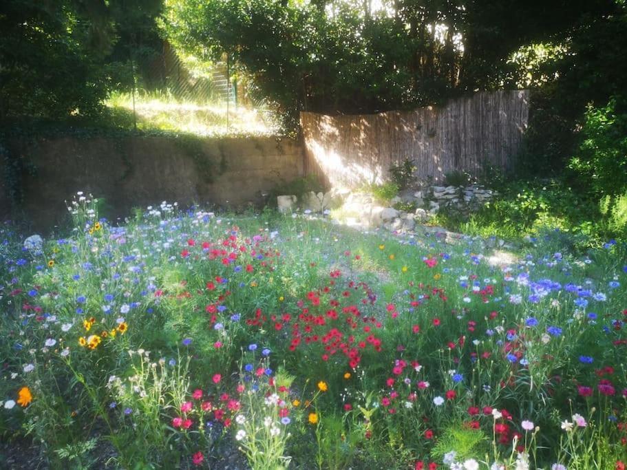 ヴィルヌーヴ・レ・ザヴィニョンBelle Dependance De 30M2 Avec Terrasse Et Jardinアパートメント エクステリア 写真